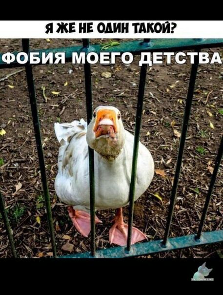 Я ЖЕ НЕ ОДИН ТАКОЙ 9
