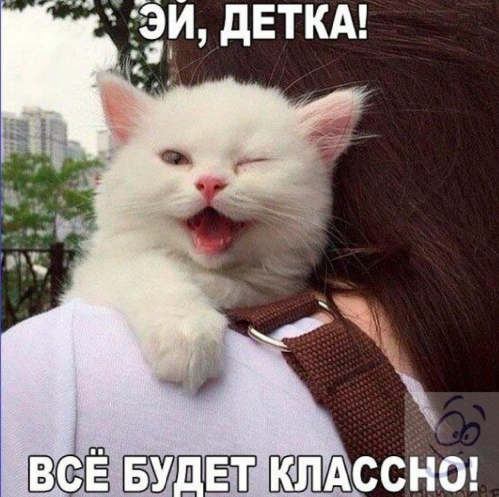 фэи двткд