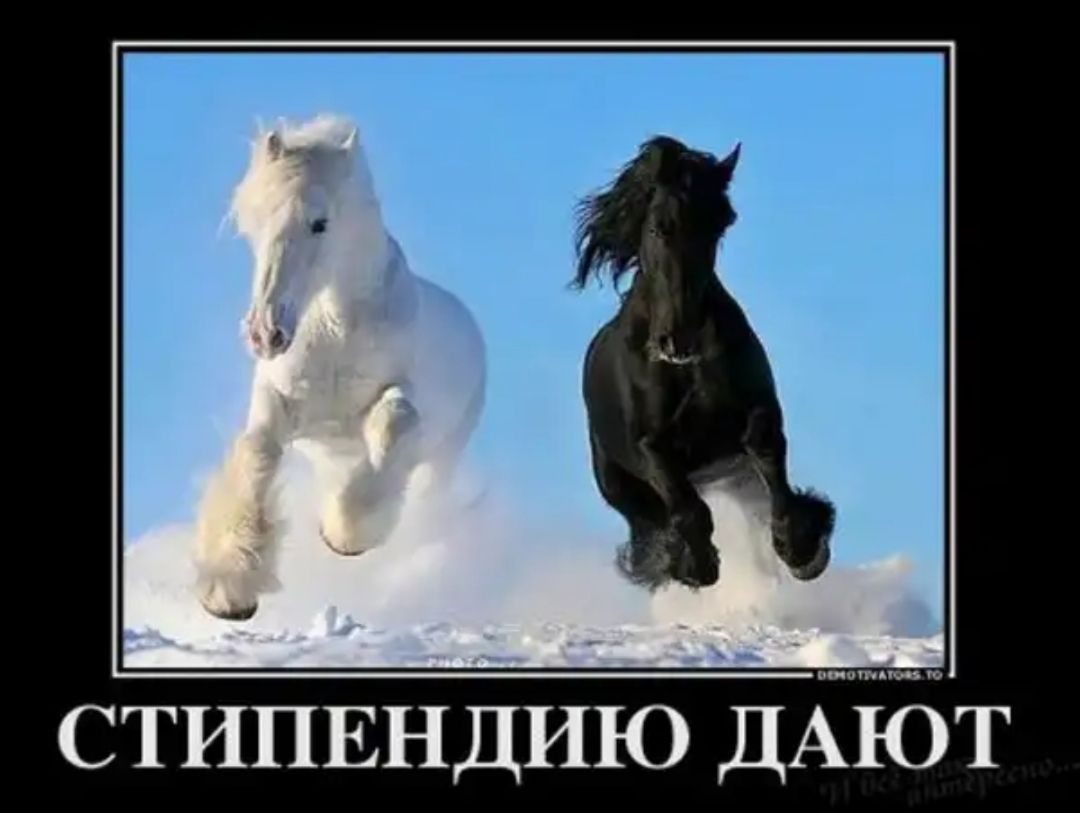 поп пвп ю СТИПЕНДИЮ ДАЮТ