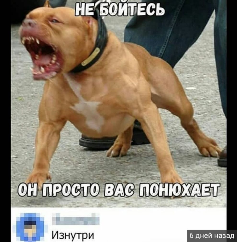 П ИЗНУТРИ 6 дней назад