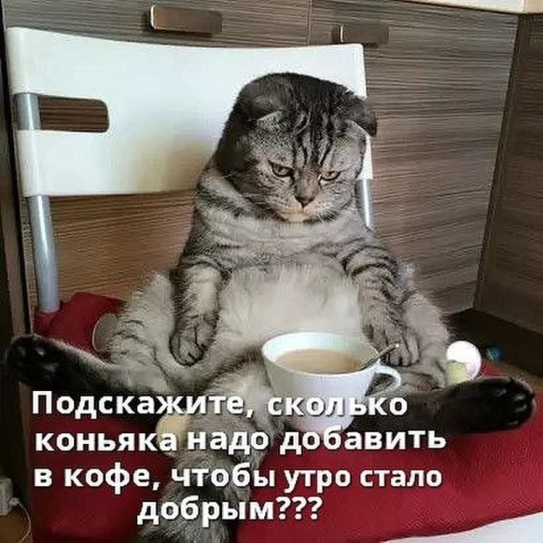 в кофе чтобы утро стало дчёвым