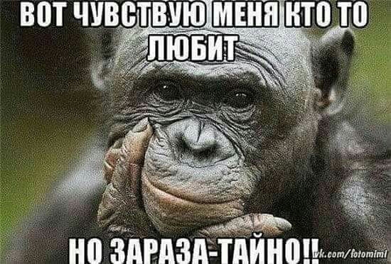 ВПТ ЧУВЕТВУЮМЕНП ТВ ТВ ЗдРдЗд тди ттлтміц