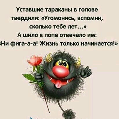 Уставшие тараканы голове твердили Угомонись вспомни сколько тебе лет А щит в попе отвечало им кНи фига а а Жизнь только начинается