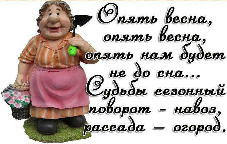 мьтр Лаваш видать давала эпьшщь нам Эвт _ 1 Эд 0_ уёьёы сезонный подарит нага 3 раздаём 029103