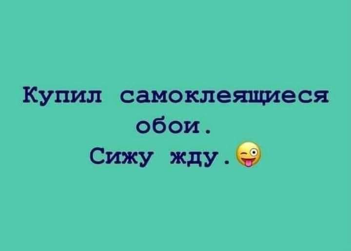 Купил самоклеящиеся обои Сижу ждубд
