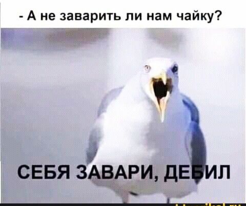А не заварить ли нам чайку сввя зівмэи дЕ л