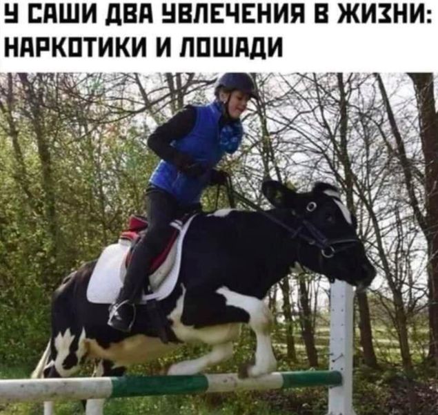 ЕПШИ двд НВПЕЧЕНИЯ В ЖИЗНИ НПРКПТИКИ И ППШддИ 1