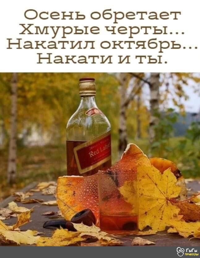 Осень обретает Хмурые черты Накатип октябрь Накати и ты