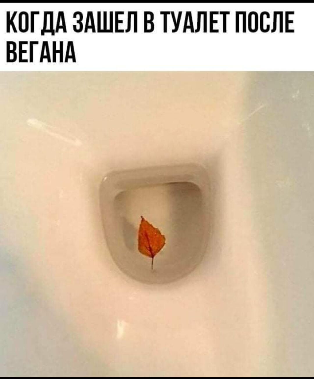 КОГДА ЗАШЕЛ В ТУАЛЕТ ПОСЛЕ ВЕГАНА
