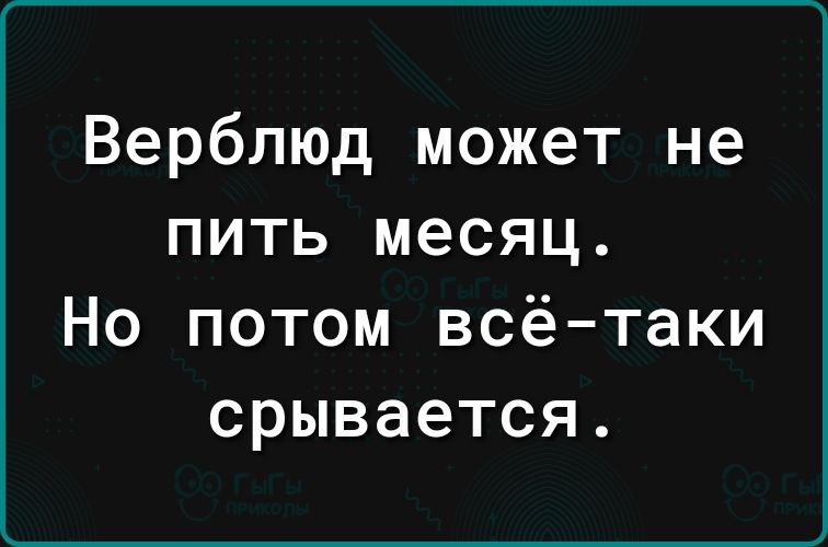 Верблюд может не пить месяц Но потом всё таки срывается