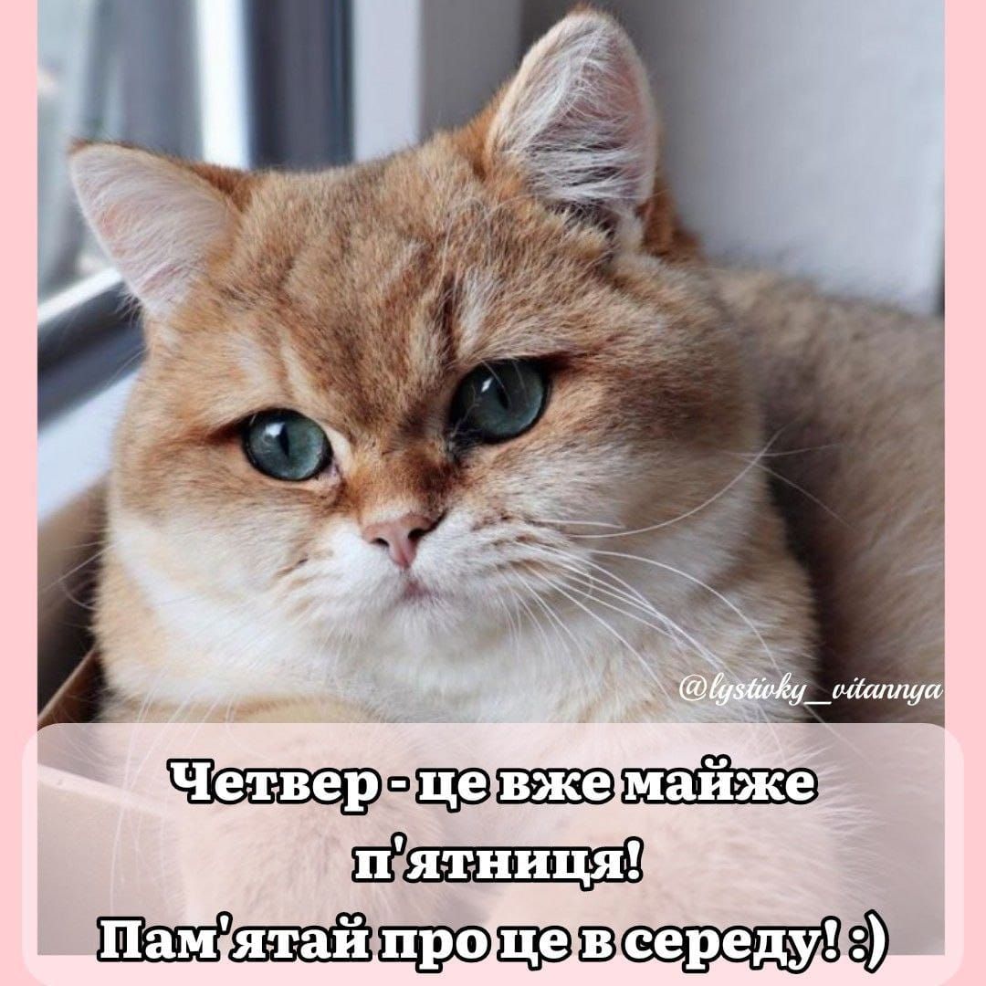 Щ штф