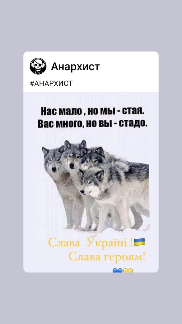 Анархист АНАРХИСТ Ш И 0 мы ИПП Вас много вы стадо миа Бирки ыпы пиром __