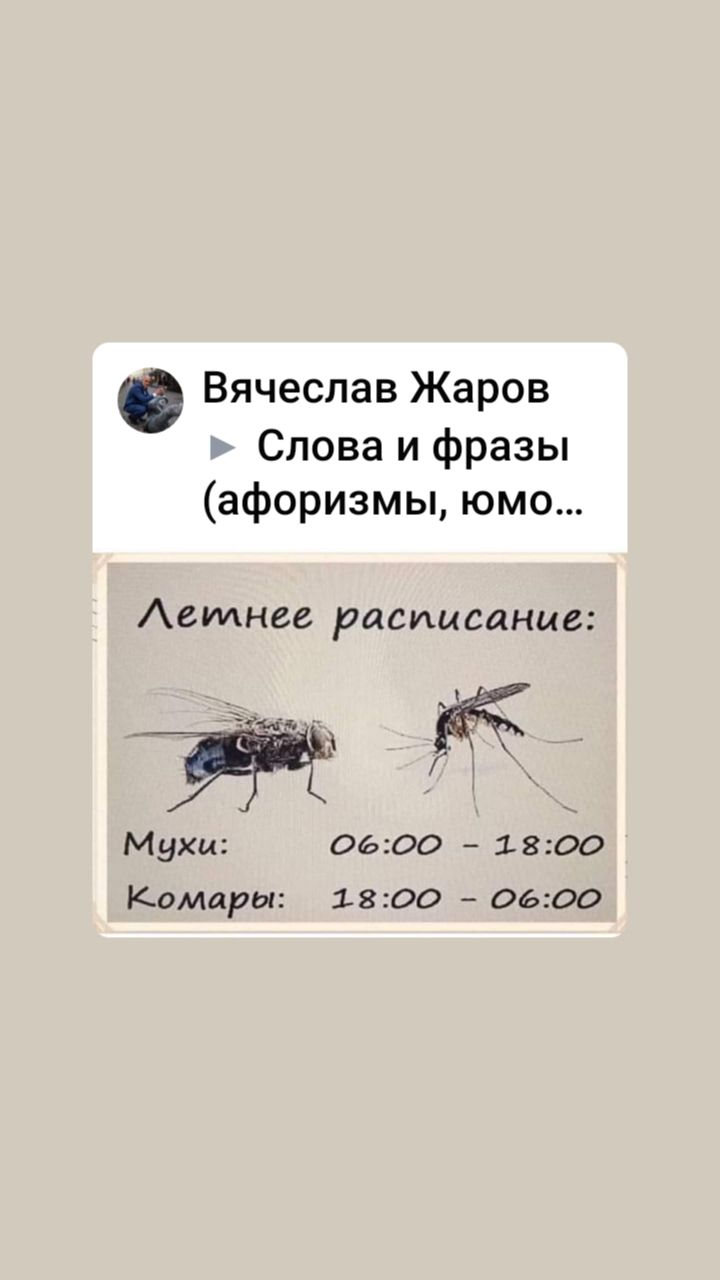 Вячеслав Жаров Слова и фразы афоризмы юмо Аетнее расписание _ и Мухи 0600 1800 Комары 1800 0600