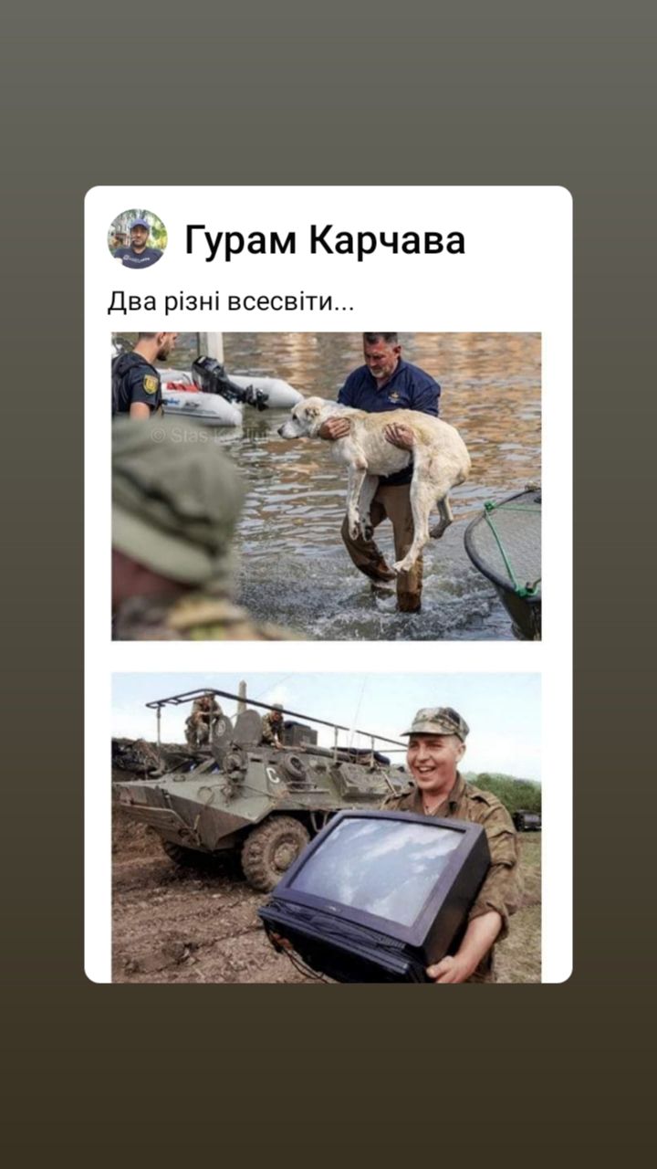 Гурам Карчава Два різні ВСеСЕіТИ