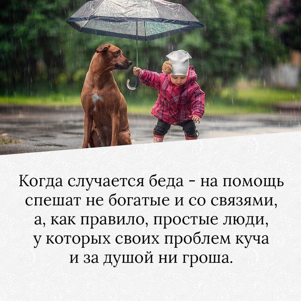 Когда случается беда на помощь спешат не богатые и со связями а как правило простые люди у которых своих проблем куча и за душой ни гроша