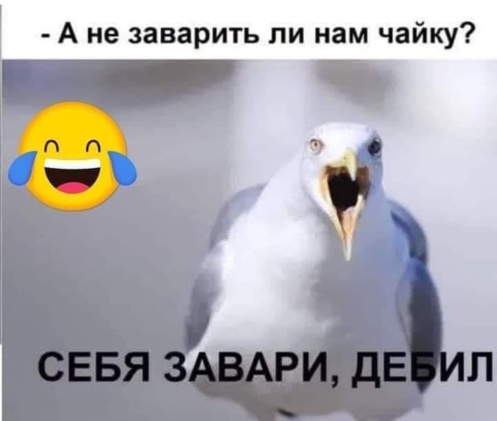 А не заварить ли нам чайку