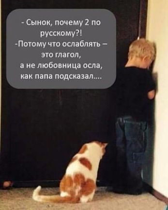 Сынок почему 2 по русскому Потому цю ослабить это глагол не любовница осла как папа подсказал