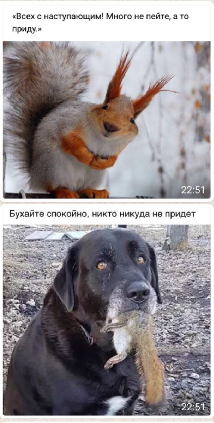 Всех с наступающим Много не пейте а то приду