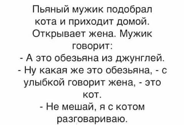Пьяный мужик подобрал кота и приходит домой Открывает жена Мужик говорит А это обезьяна из джунглей Ну какая же это обезьяна с улыбкой говорит жена это кот Не мешай я с котом разговариваю