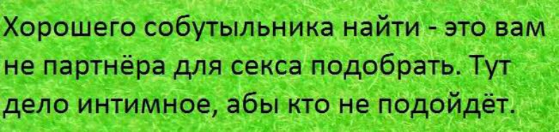 Хорошего собутылЬника найти это Вам не партнёра для секСа подобратьд Туту дело интимыое абы кто не подойдёт