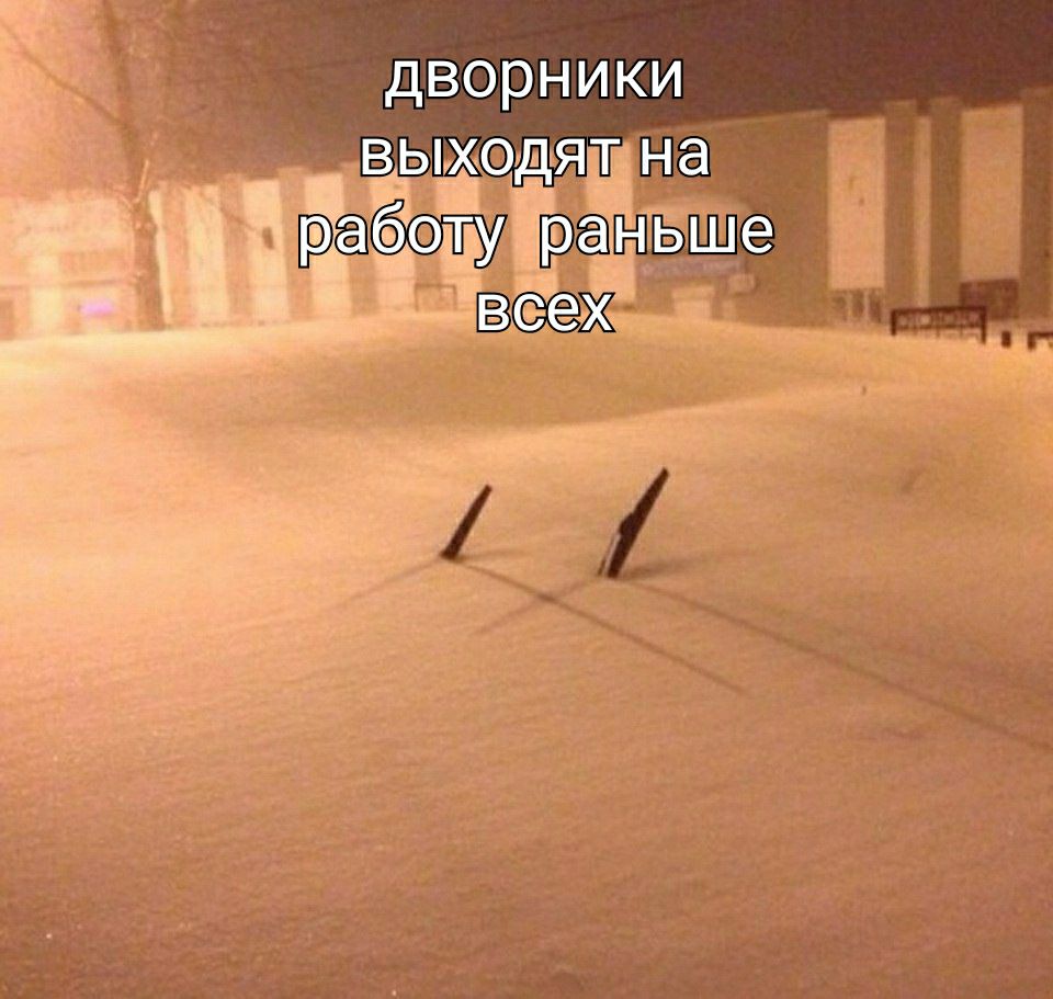 дворникиа _выходя