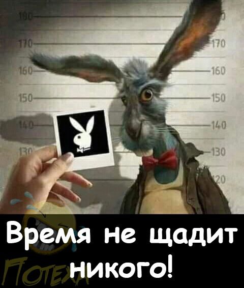 Время не щадит никого