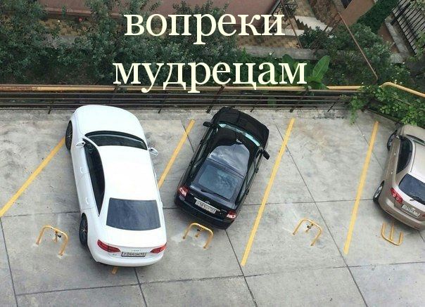 вопреким __ мудргдаъё_і