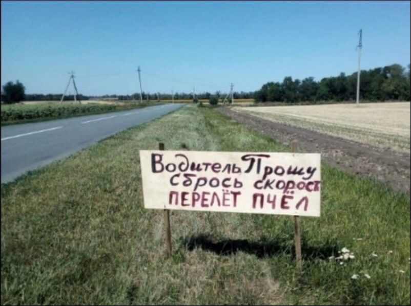 Водитель: л,щ с5рось скорос перелет пчёл