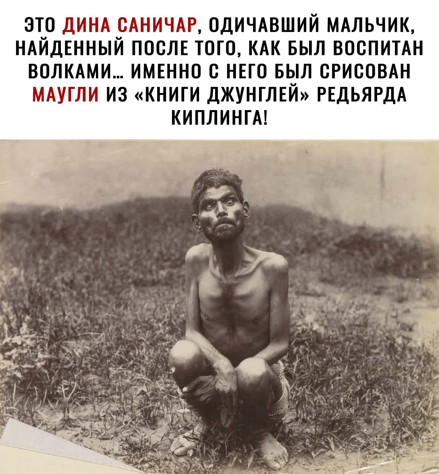 Дети маугли в реальной жизни