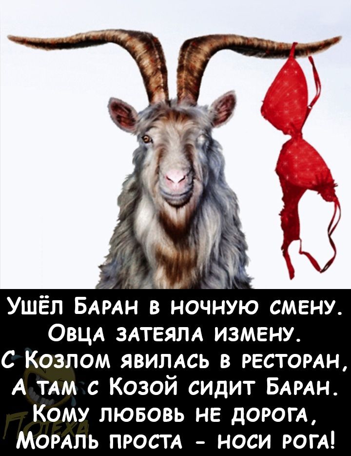 Ушёл БАРАН в ночную смену ОВЦА ЗАТЕЯПА измену С Козлом ЯВИПАСЬ в РЕСТОРАН А ТАМ с Козой сидит БАРАН Кому лювовь не дОРОГА МОРАПЬ ПРосТА носи РогА