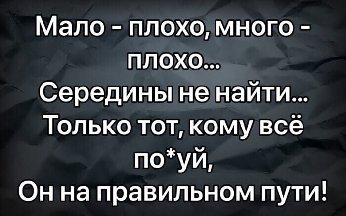 Мало плохо много плохо Середины не найти Только тот кому всё поуй Он на правильном пути