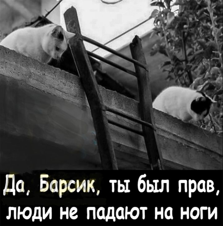Да Барсик ты был прав люди не падают на ноги