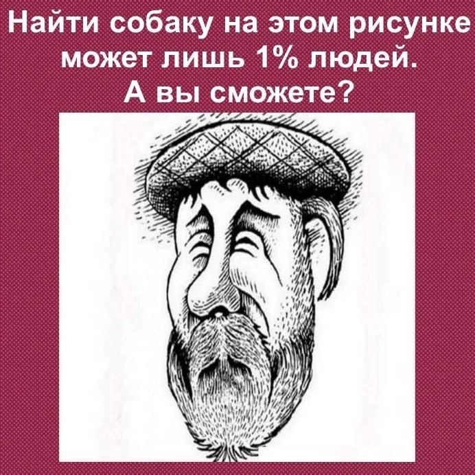 Найти собаку на этом рисунке может лишь 1 людей А вы сможете