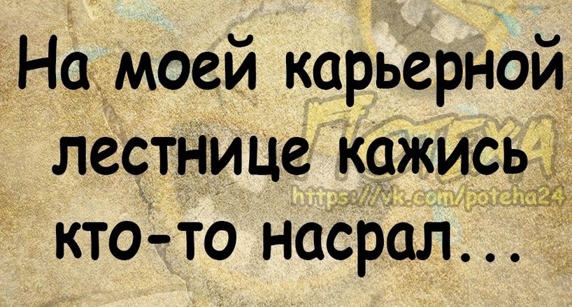 На моей карьерной лестнице кажигсьг кто то насрал