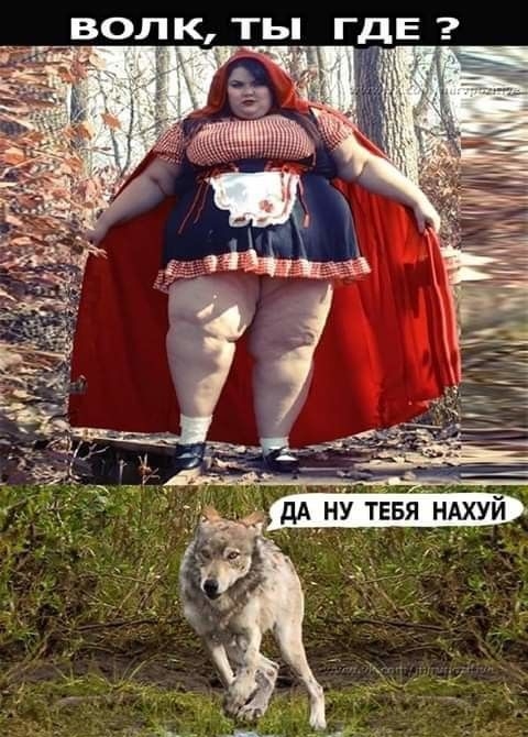 К ТЫ ГДЕ вол