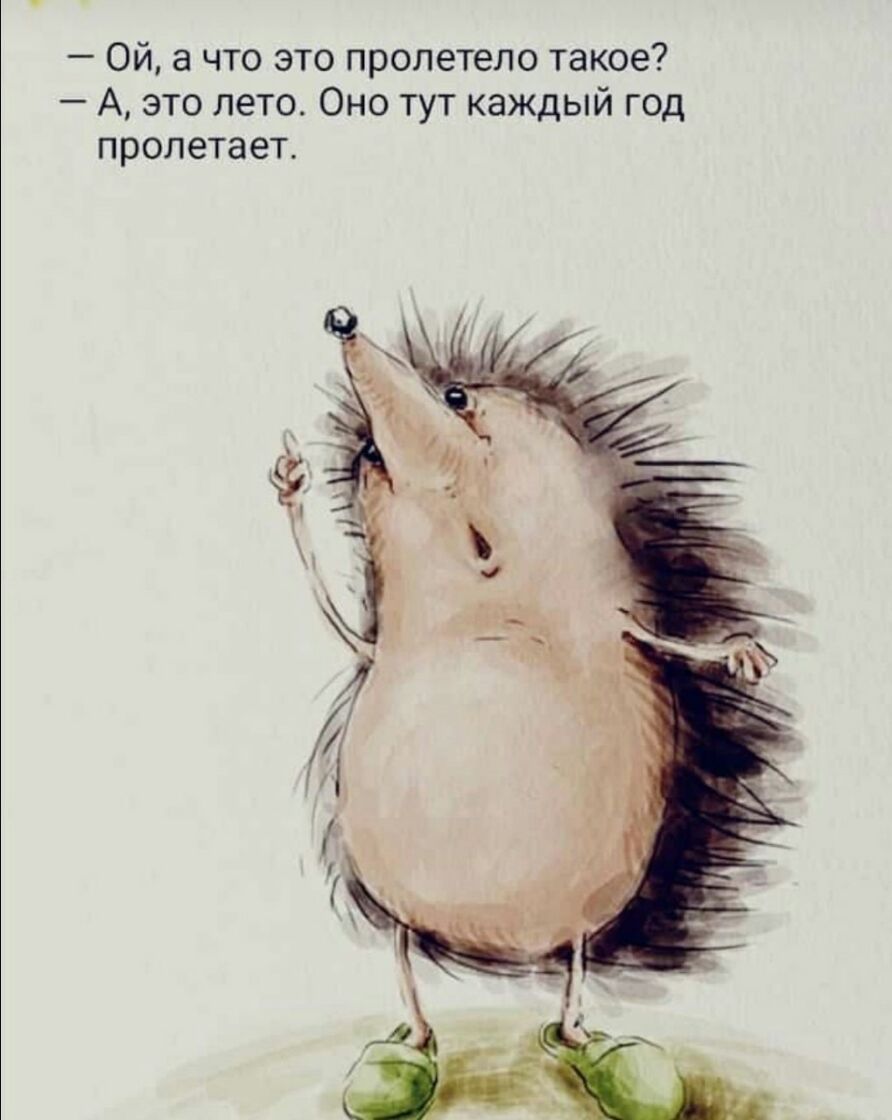 Ой а что это пролетело такое А это лето Оно тут каждый год пролетает