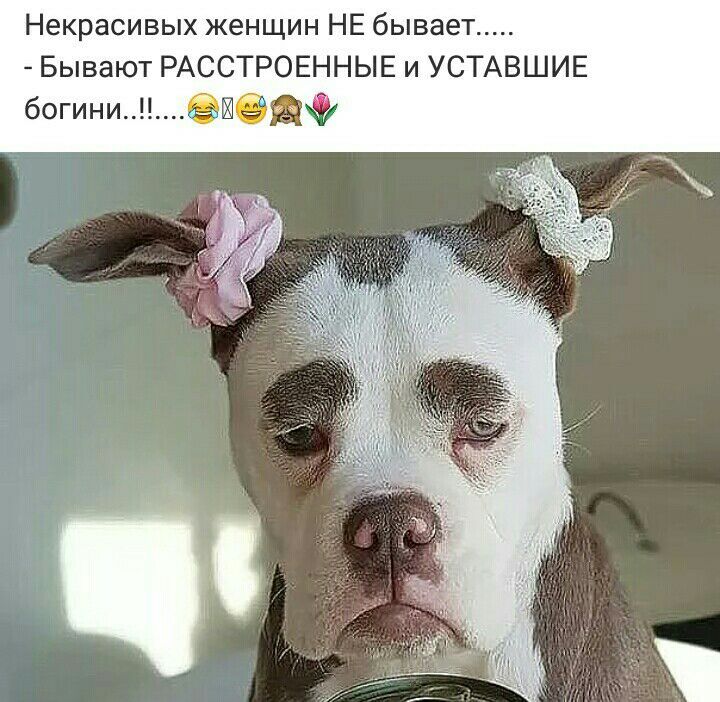 Некрасивых женщин НЕ бывает Бывают РАССТРОЕННЫЕ и УСТАВШИЕ богини ЁФ