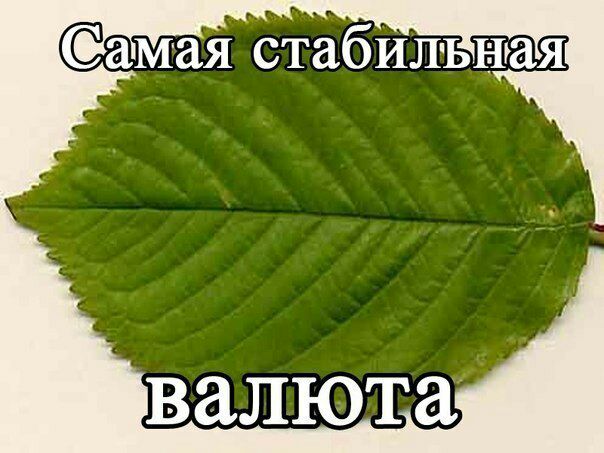 Самая стабильная