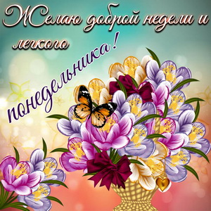 М