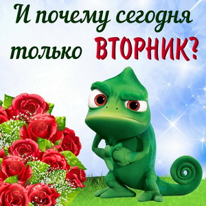 Ипочему сегодня только 13101