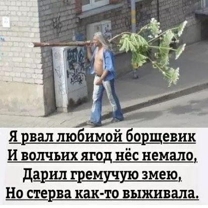ж я вал любимой 60 зщ И волчьих ягод нёс немало _ дарил змею Но стерва как то выживала