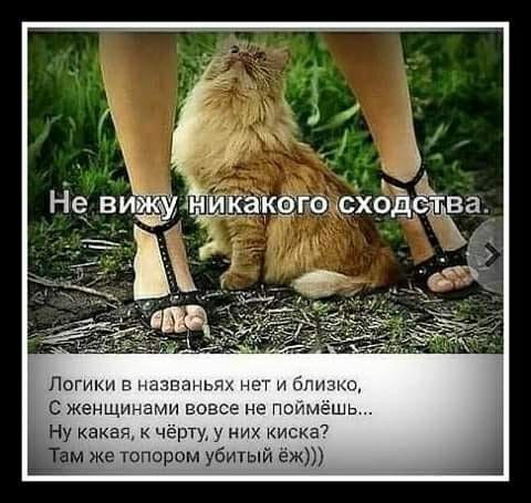 звш я нет и Близш С женщинами вовсе не поймёшь ну какая к чёрту у ник иска7 м же топором убитый еж