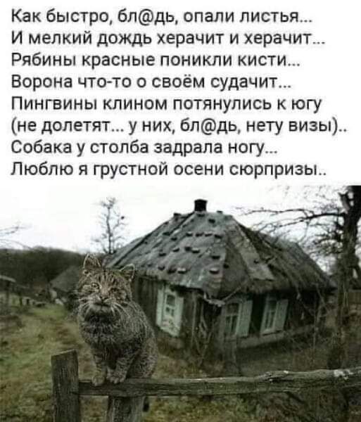 Как быстро бпдь спали листья И мелкий дождь херачит и херачит Рябины красные поникли кисти Ворона чт0то своём судачит Пингвины клином потянулись к югу не долетят у них бпдь нету визы Собака у столба задрала ногу Люблю я грустной осени сюрпризы