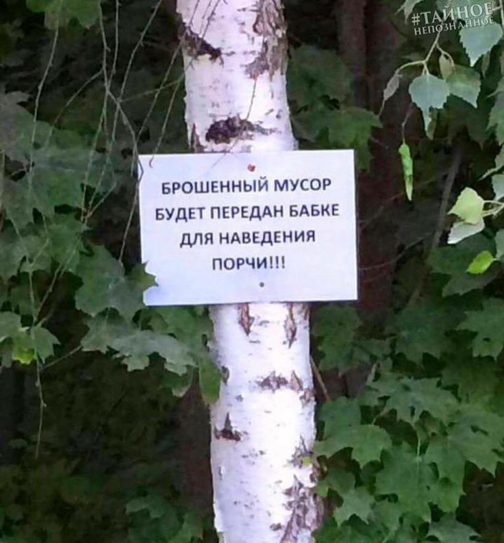 врошгнныи мути суди пкщддн мькг для мдаідгния порчи