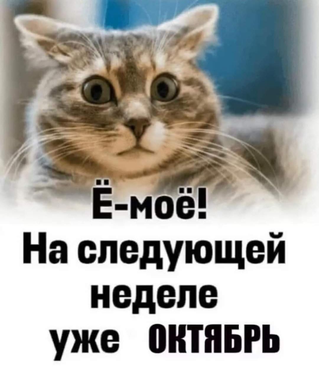 На спедукщей неделе уже окТЯБРЬ