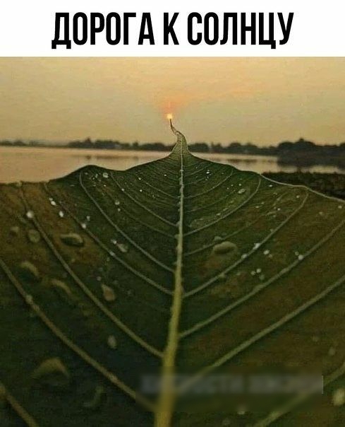 ППРПГА К СПЛНЦУ