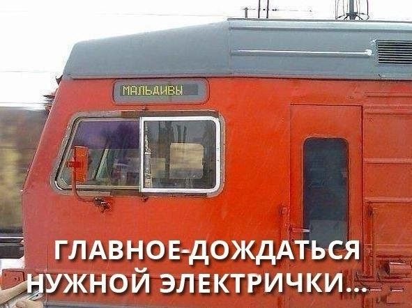 глдвнов дождАтЪся ужной элвктгички