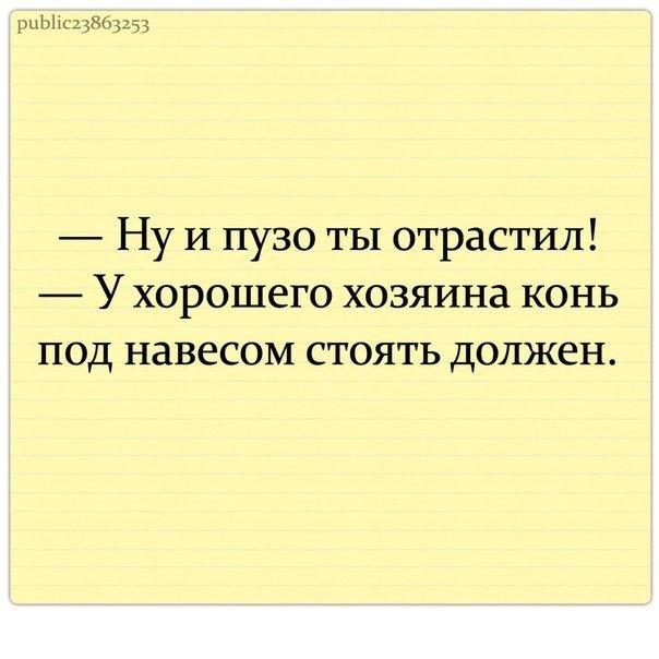 рцЫАсцХБрз Ну И пузо ты отрастил У хорошего хозяина конь под навесом стоять должен