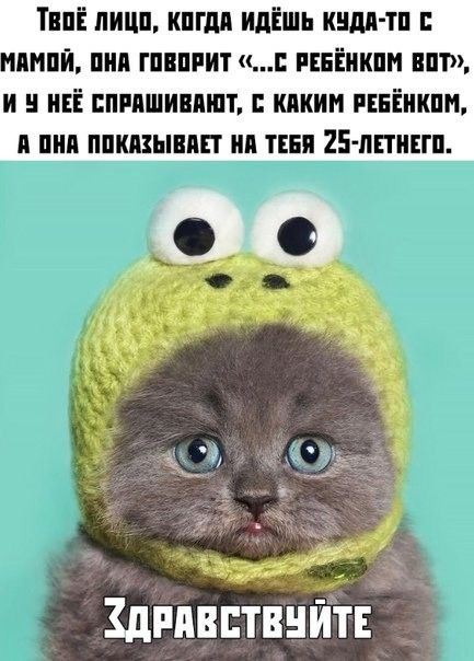 ТнпЁ пиши кпгдп идёшь инди тп пмпй пил гпвпиит шЁикпм ш и НЕЁ пипшипшт кпкин ивніикпн пип ппшыип ип пни 25 ппипп дпявптвнйтн