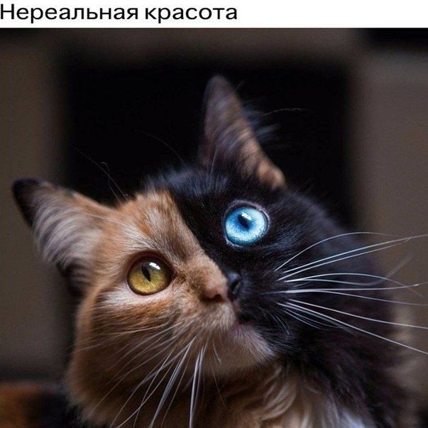 Нереальная красота